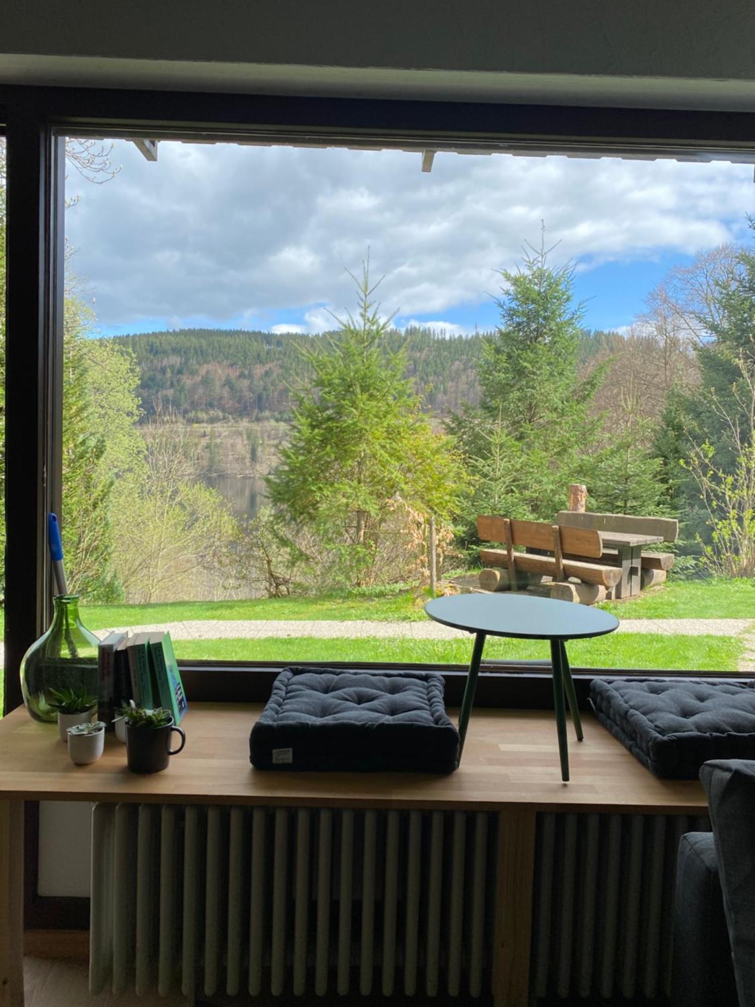 Black Forest Apartments Titisee Exterior foto